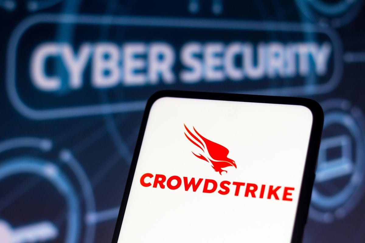 Akcie společnosti CrowdStrike rostou s prudkým nárůstem příjmů. Je už pozdě na nákup akcií?