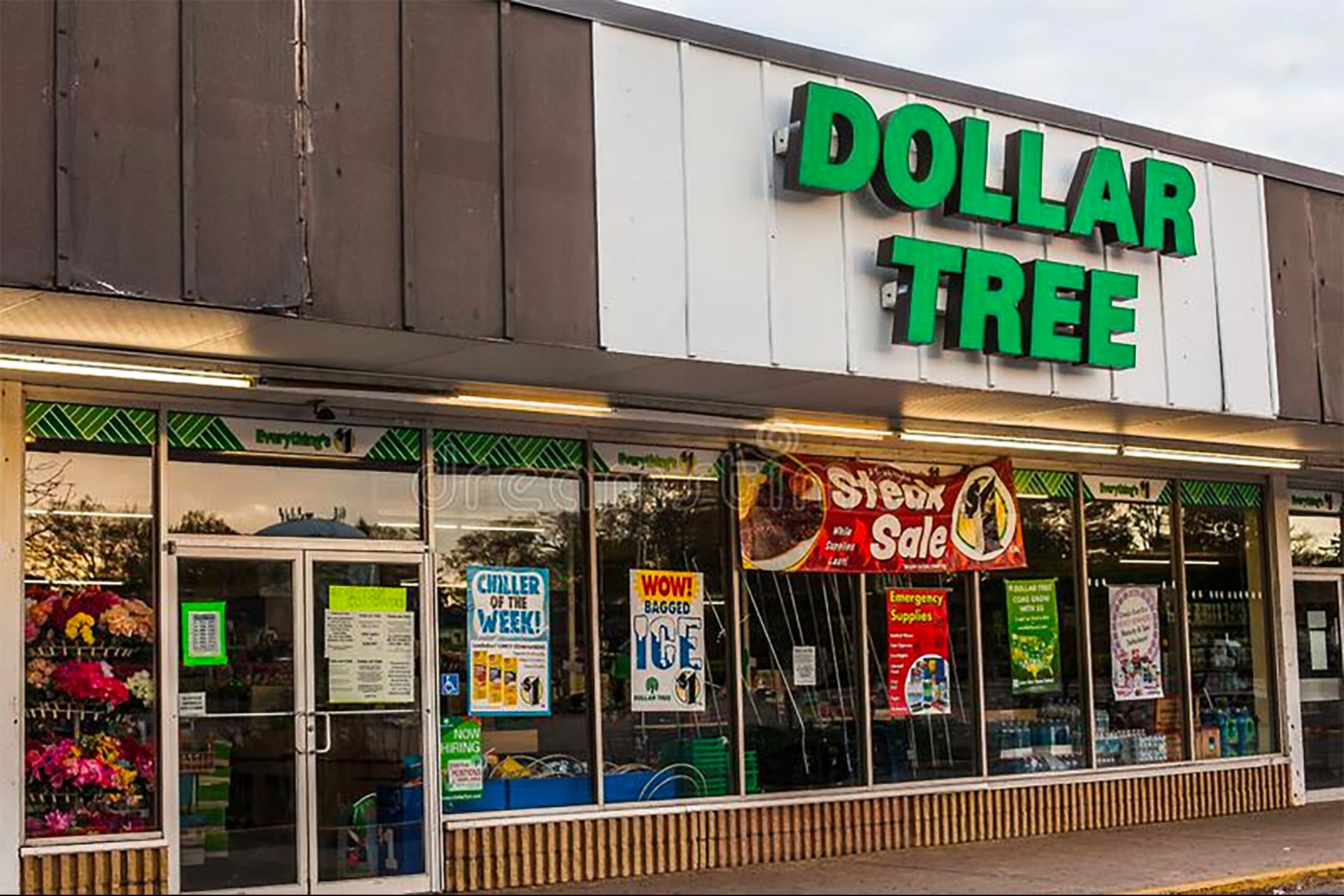 Dollar Tree: Transformace společnosti přináší první ovoce