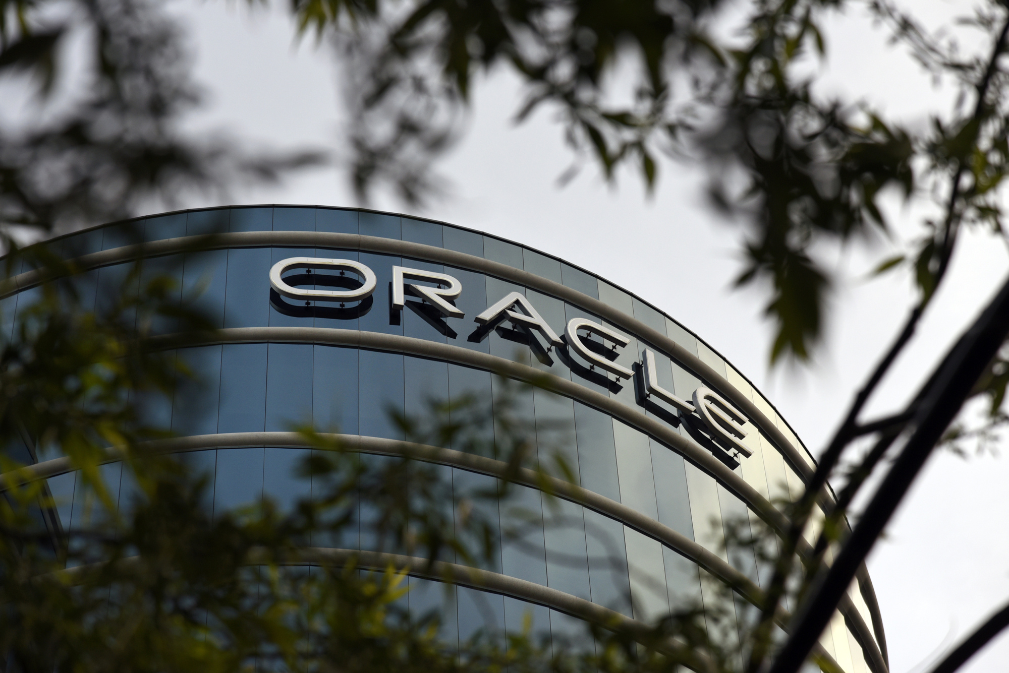 Oracle se veze na vlně umělé inteligence